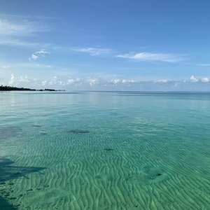 Anavana Guest Reviewer KES68's Avatar