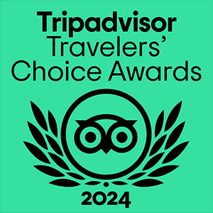 Tripadvisor Travelers' Choice Award logo