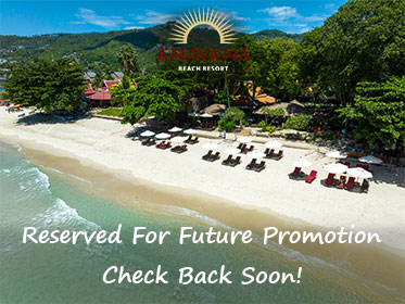 Image placeholder for future promotions